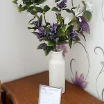 Bed & Breakfast Domaine Des Lilas