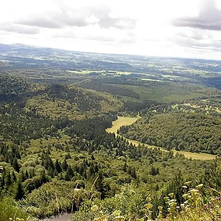 Domaine Des Lilas