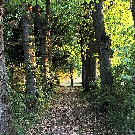 Domaine Des Lilas Bed and Breakfast