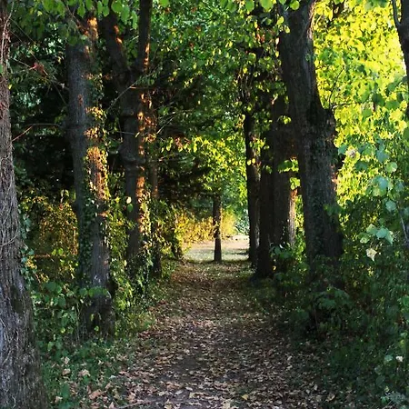 Domaine Des Lilas Frühstückspension