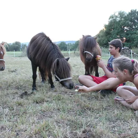 Frühstückspension Domaine Des Lilas