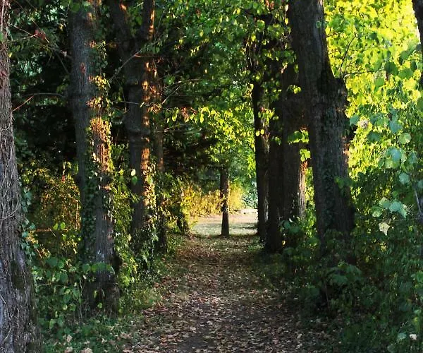 Domaine Des Lilas Bed & Breakfast