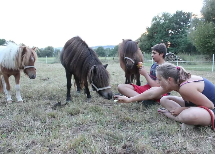 Bed & Breakfast Domaine Des Lilas