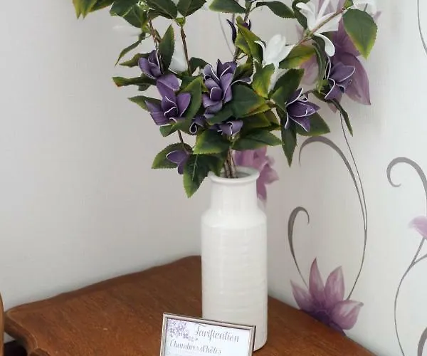 Bed & Breakfast Domaine Des Lilas